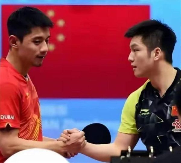 张继科:樊振东把复杂比赛打得陋劣 前三板险些没发过力但就不特地